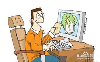 食品流通中的主體及其在互聯(lián)網(wǎng)銷(xiāo)售中的角色